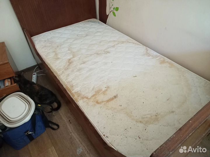 Химчистка мягкой мебели с выездом