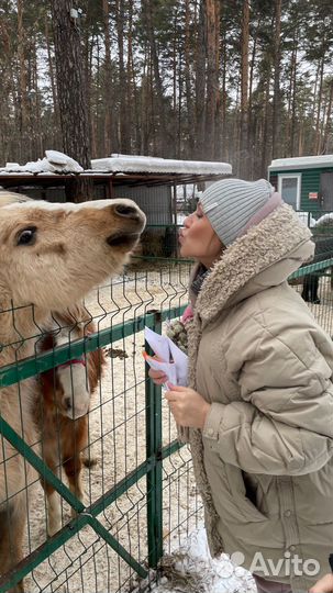Куртка жеНская