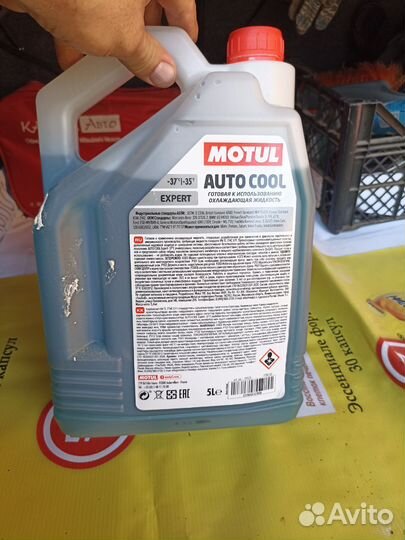 Антифриз Motul g 11