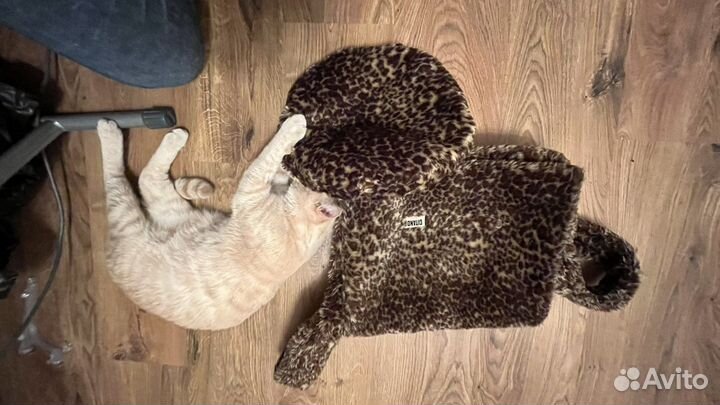 Сумка и берет