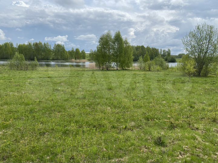 Участок 22 сот. (СНТ, ДНП)