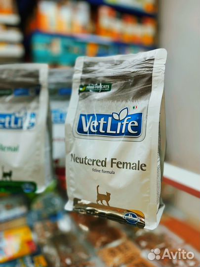 Корм для кошек farmina