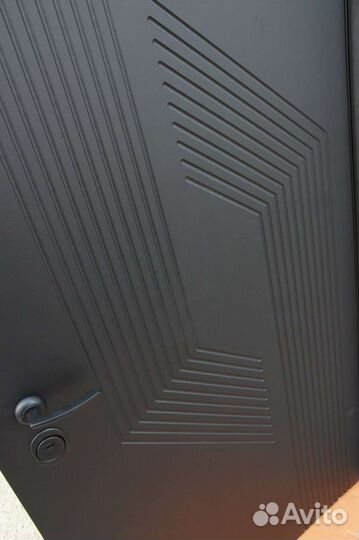 Дверь входная Протея зеркало