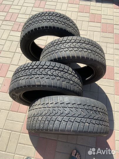Minerva Eco Winter 225/55 R17