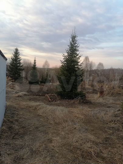 Участок 6 сот. (СНТ, ДНП)
