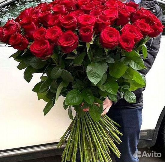 Розы высокие 150 160 170 180 190 200см