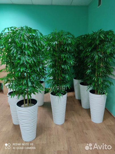 Бамбук искусственный