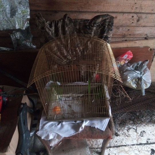 Клетка для грызунов большая