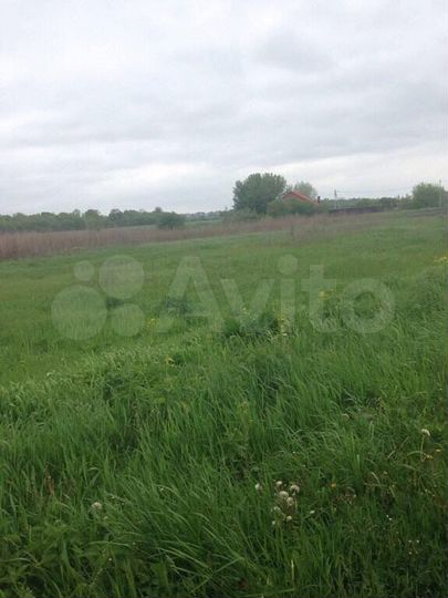 Участок 15 сот. (ИЖС)