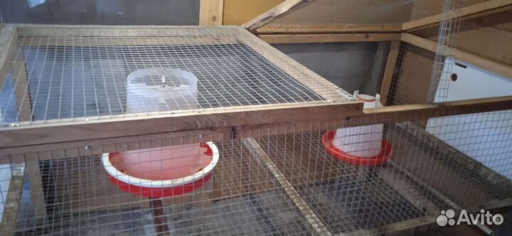 Клетка для любой птицы
