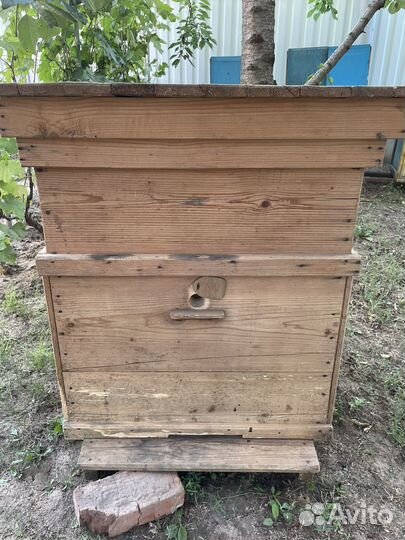 Улей для пчел