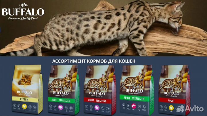 Корм для кошек