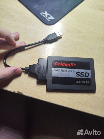 SSD Goldenfir 256GB