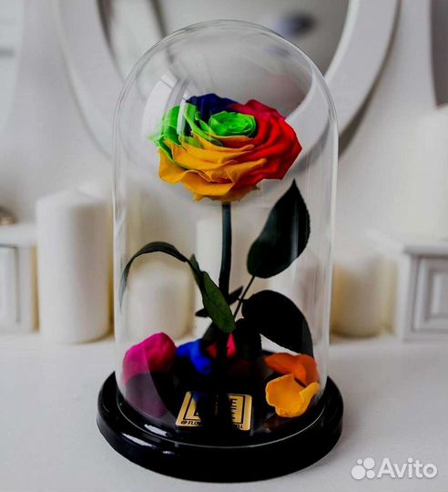 Розы в колбе любые
