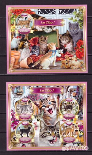 Мадагаскар, 2022. Фауна, кошки (мл+блок) (01)