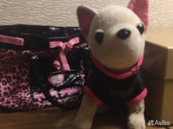 Чичилав rock star редкая