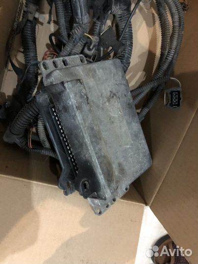 Эбу-мозги-коса-проводка