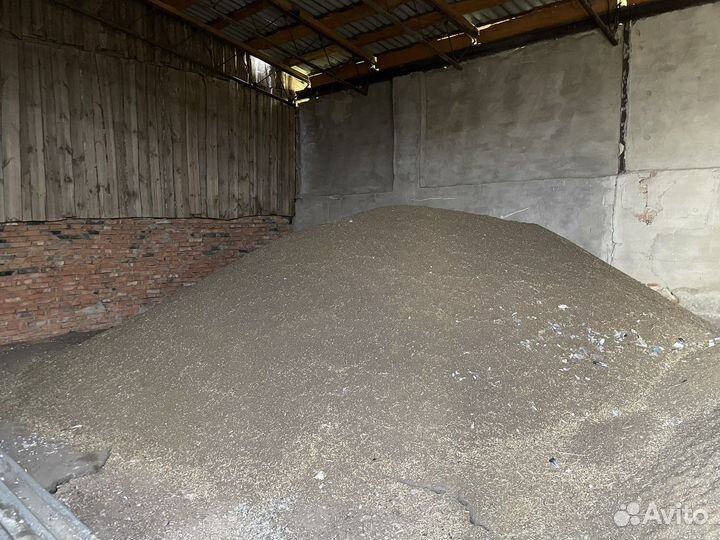 Донник белый