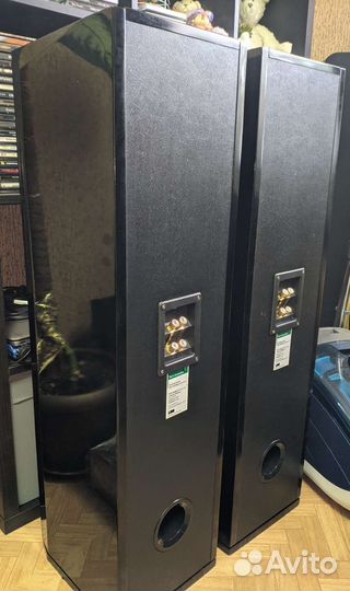 Pure Acoustics dream 76 Акустика из США