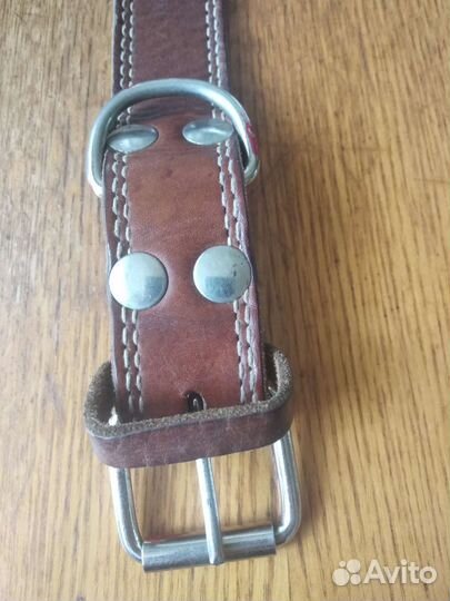 Строгий ошейник на Алабая или Кавказца