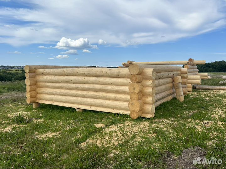 Сруб бани 5 на 5 в чашу