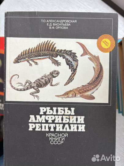 Книги разные, интересные