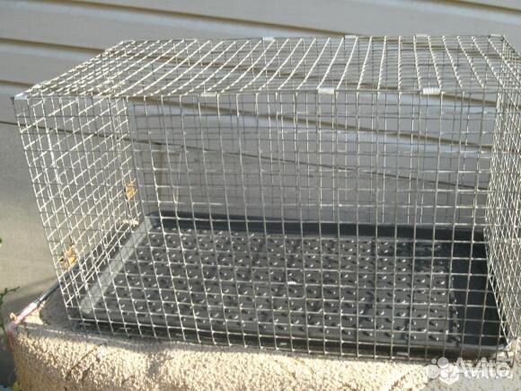 Клетка для кур