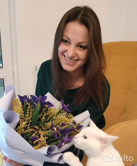 Репетиторство по английскому языку