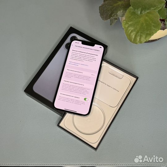 iPhone 13 Pro, 256 ГБ