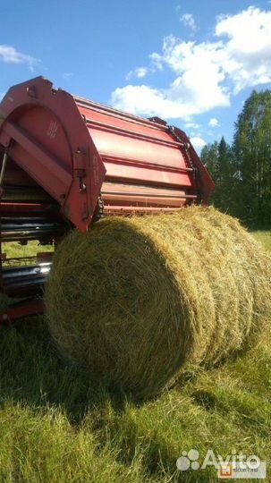 Сено свежий покос