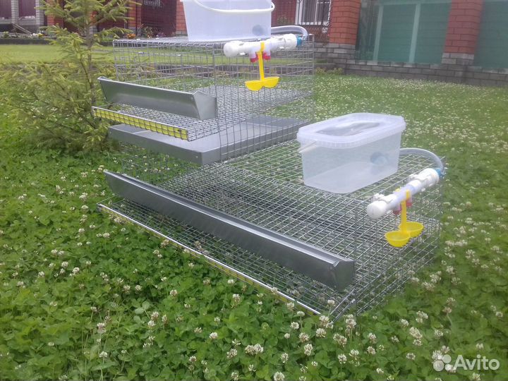 Клетка для перепелов