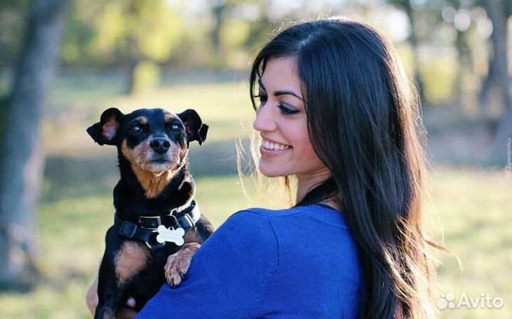 Оставить питомца на всё лето