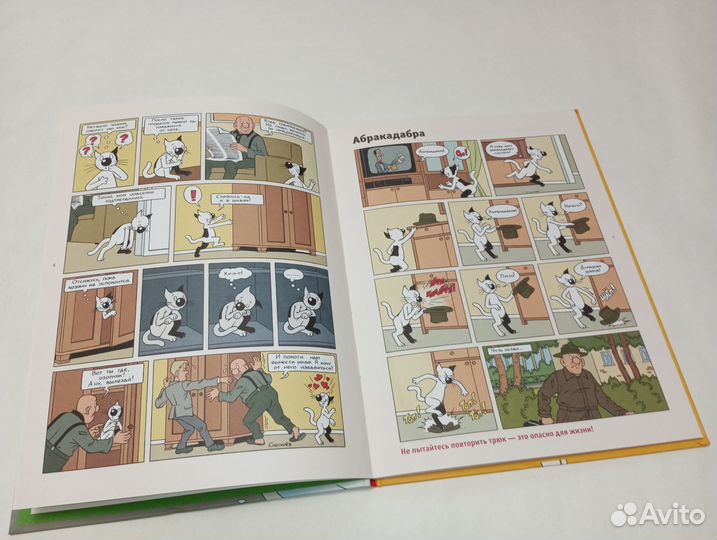 Кешка в погоне за елкой