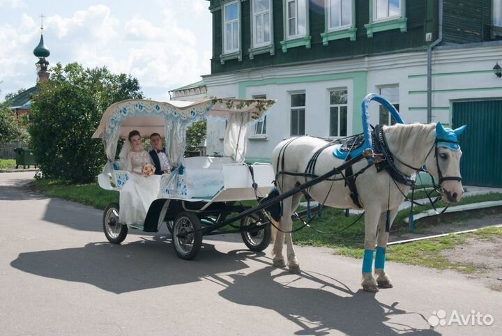 Экипаж для лошади