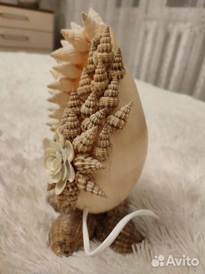 Светильник ночник, из ракушек