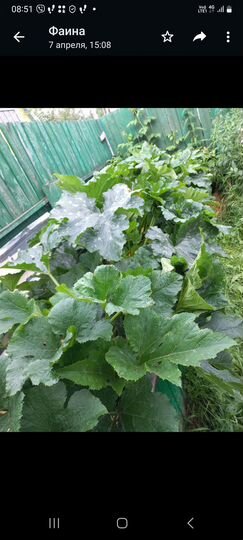 Дача 32 м² на участке 17 сот.