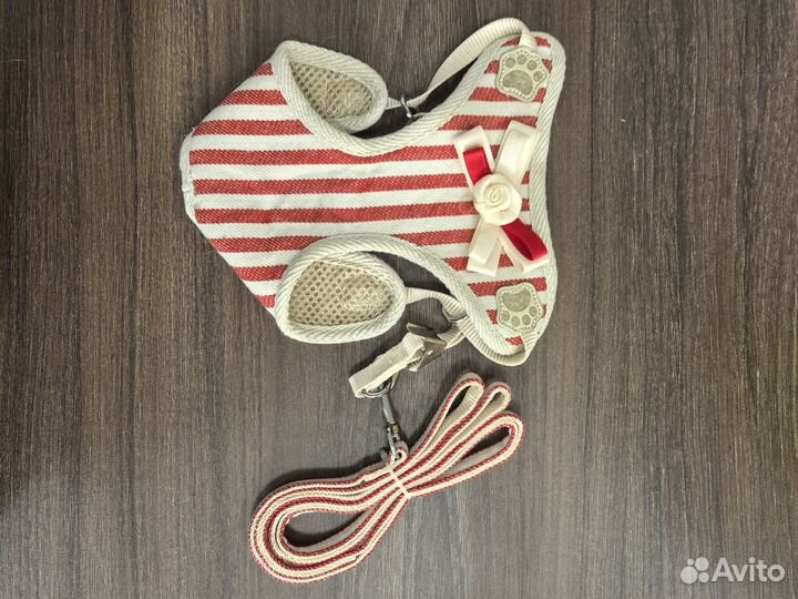 Жилетка для кошек