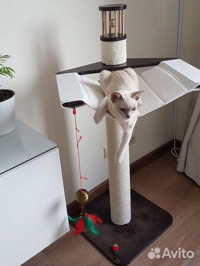 Когтеточки и домики для кошек