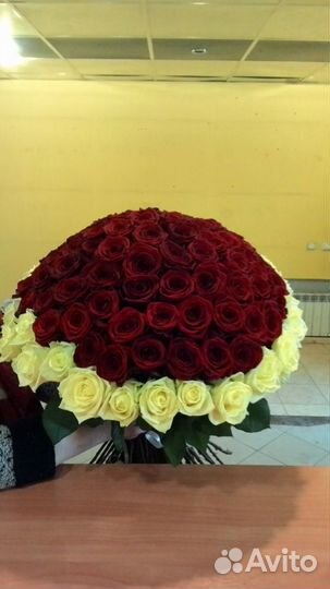 Розы 101 51 Цветы Доставка Цветов Круглосуточно