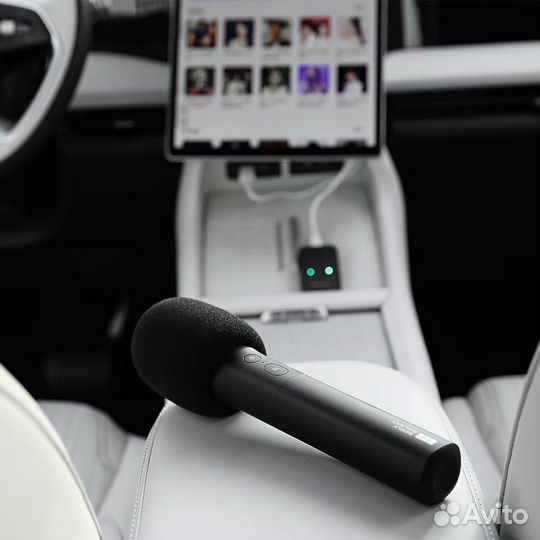 Микрофон на Geely Galaxy Microphone