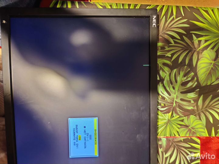 Монитор NEC 20