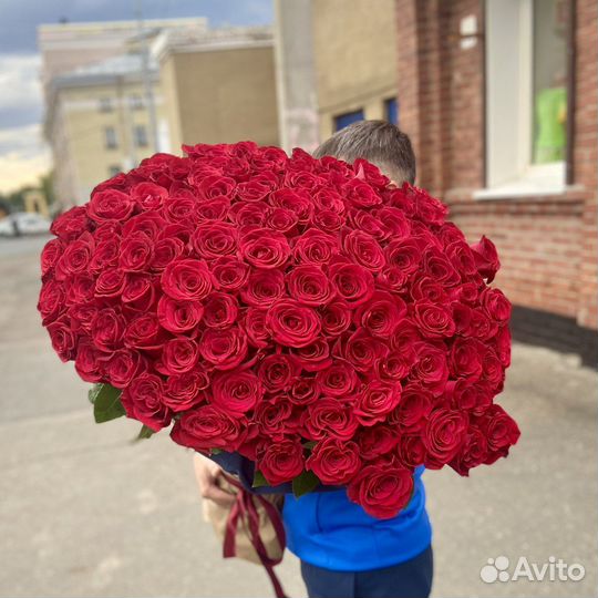Розы сортовые Эквадор