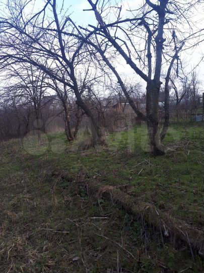 Участок 6 сот. (СНТ, ДНП)
