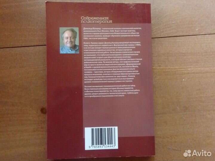 Дональд Калшед, Травма и душа