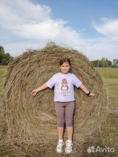 Сено в тюках