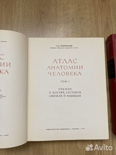 Атлас анатомии человека синельников