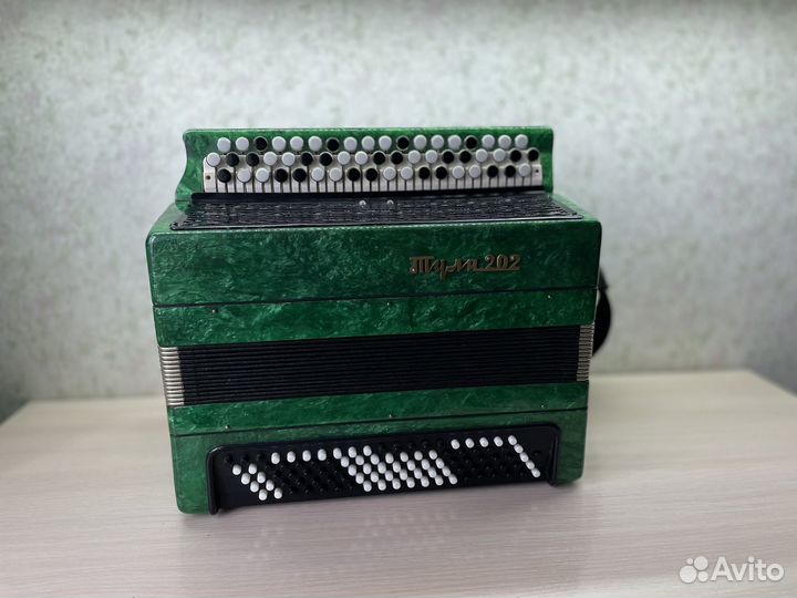 Баян тула 202