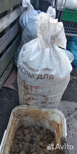 Конский навоз