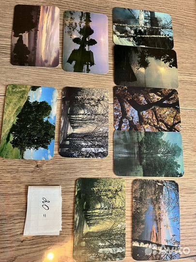 Календарики СССР цветы природа