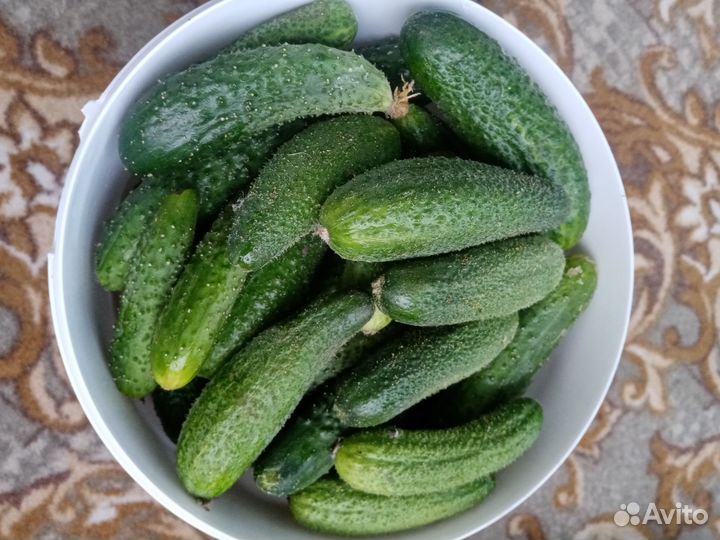 Огурцы свежие 5 лит.ведро